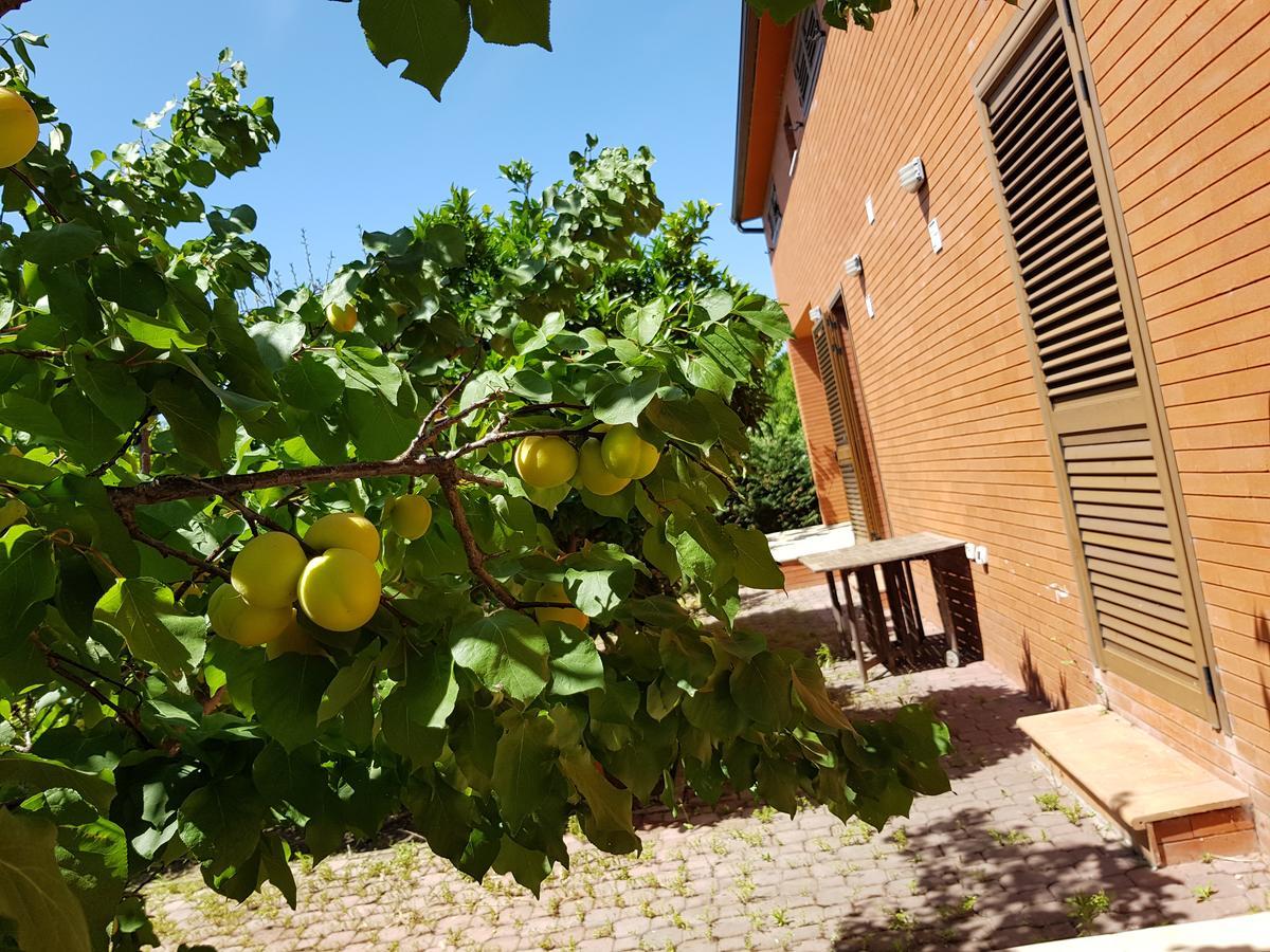Villa "Green Paradise" Divjake Exterior photo